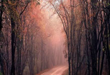 乌拉圭对阵巴拿马，这场足球对决有哪些看点？