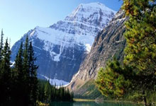 亚洲杯沙特对阵泰国，谁能更胜一筹？